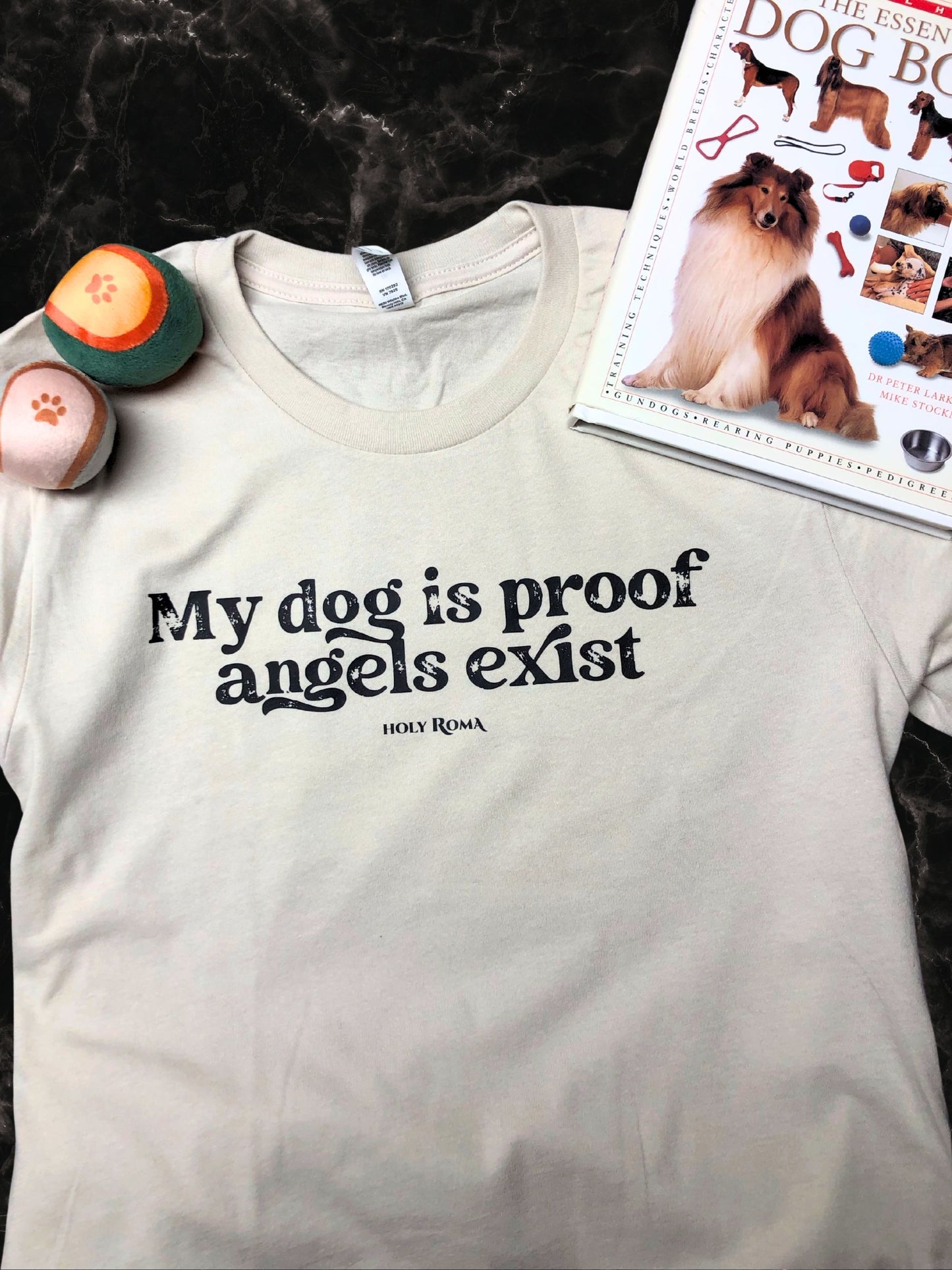 My Dog is Proof Angels Exist Lightweight Tee